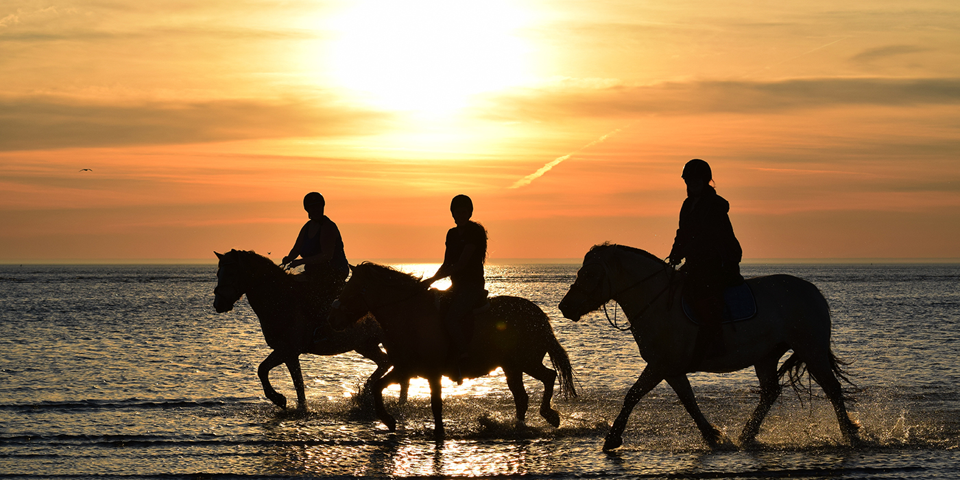 Nordseeküste bei Sonnenuntergang in Sankt Peter Ording im Herbs