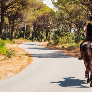 Horseback riding in Sine Saloum