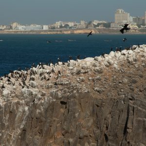 Guided Tour of the Îles de la Madeleine