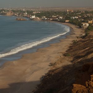 Popenguine birdwatching and photography safari