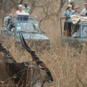 Ornithological/Photographic Safari Fathala
