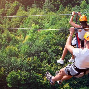 Tyrolienne Réserve bandia