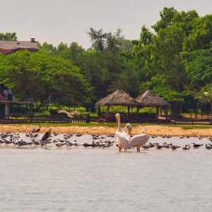 Nature discovery hike Somone