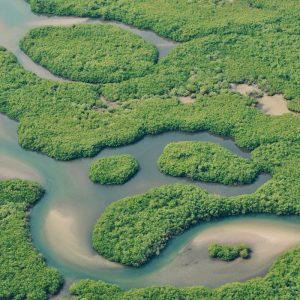 Mountain biking/electric bike riding on the beach or Saloum lagoon