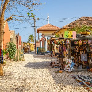 Workshop, Market, Cooking, Village Joal