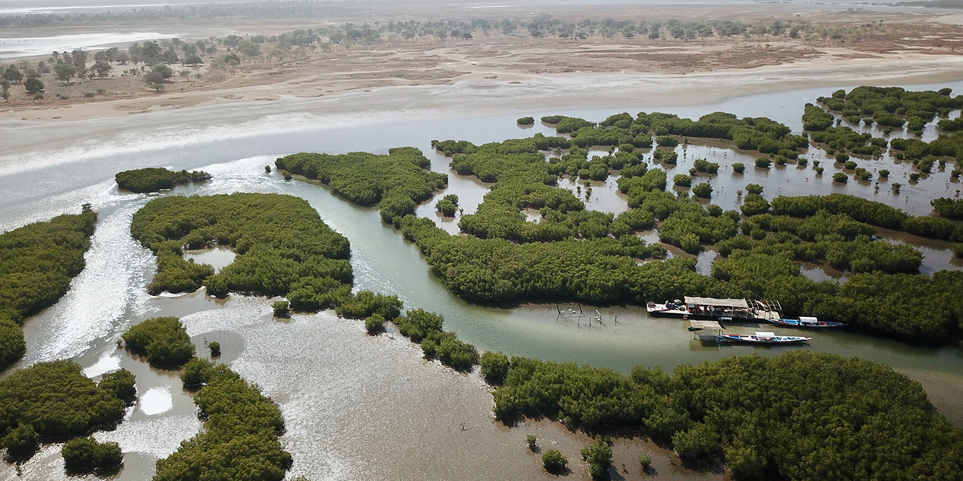 Vue aérienne du Sine Saloum avec des mangroves- Sénégal