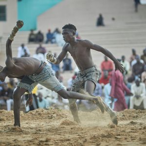Immersion in the Mbour wrestling school