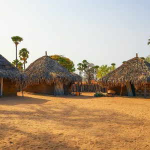 Immersion in a Lebou Village / Traditional fishing in Dakar