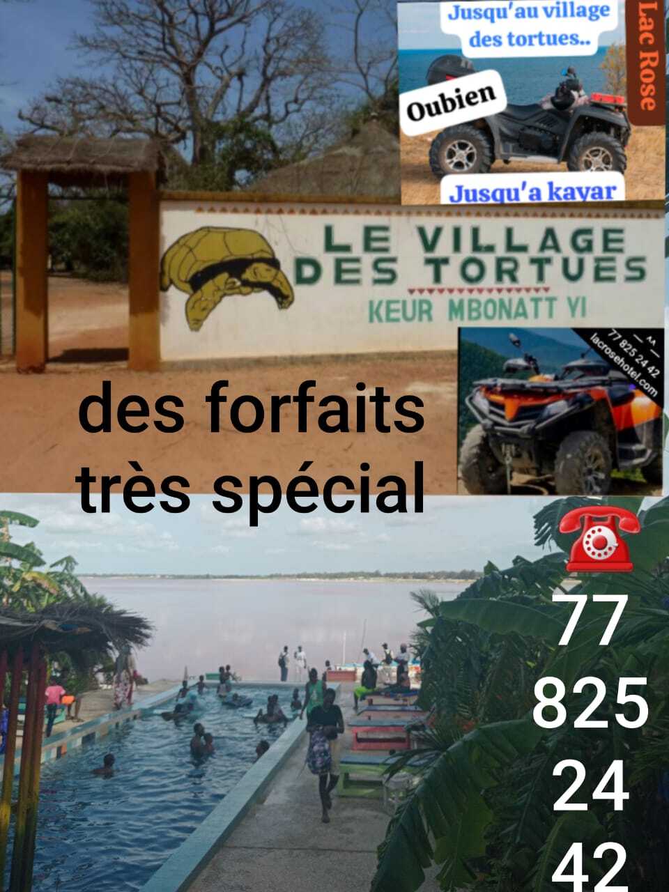 Balade Dromadaire ou cheval