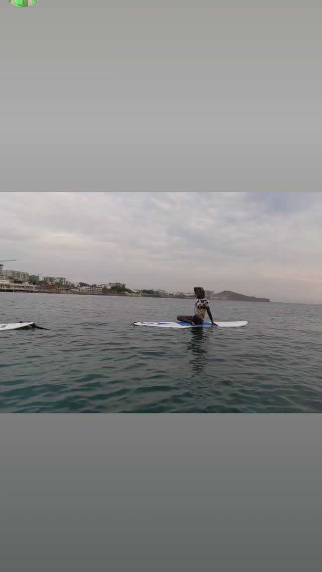 Location de Matériel de Surf