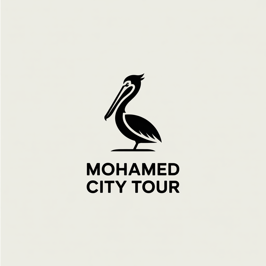 Mohamed City Tour