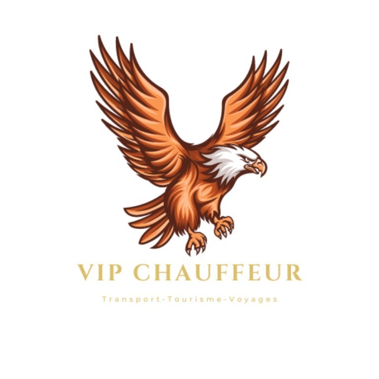 VIP CHAUFFEUR